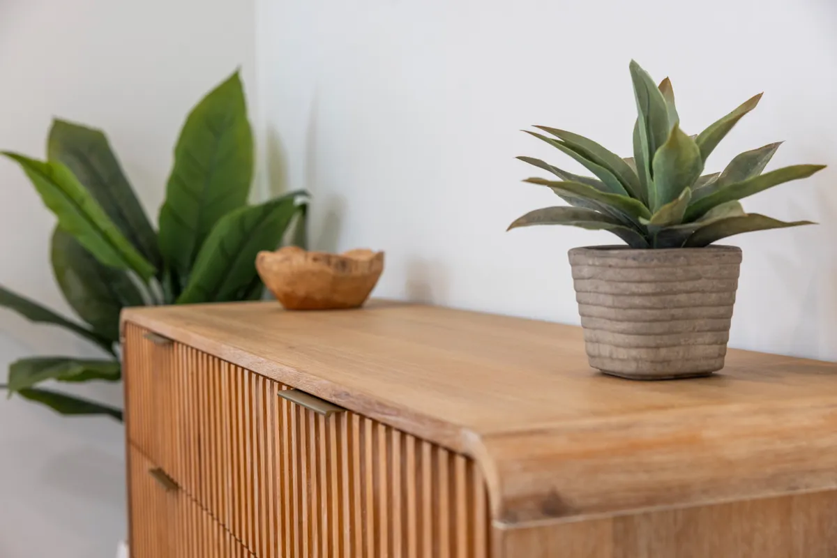Fluted wood console with a carved bowl and potted agave against a white wall