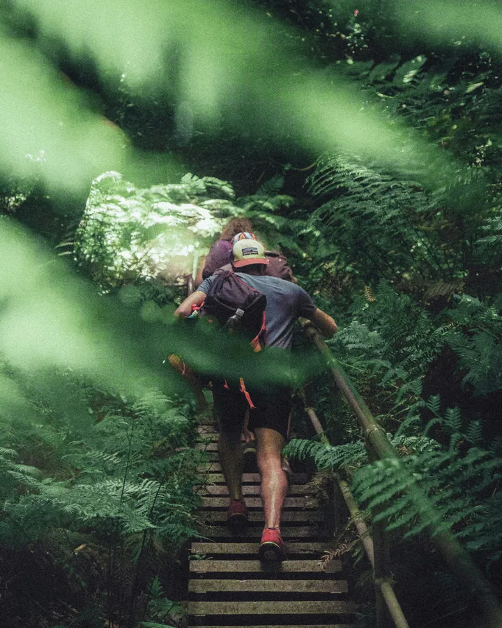 Mountain hiking North Georgia